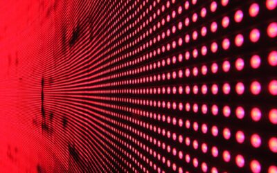Tales from the Crypt